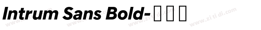 Intrum Sans Bold字体转换